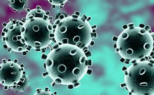 UGM Minta Sivitas Tingkatkan Kewaspadaan Virus Corona