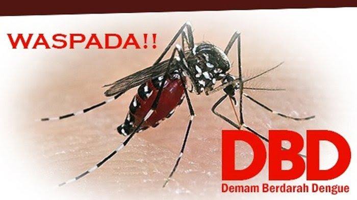 Virus Covid-19 Belum Berlalu, DBD Mengintai Gunungkidul