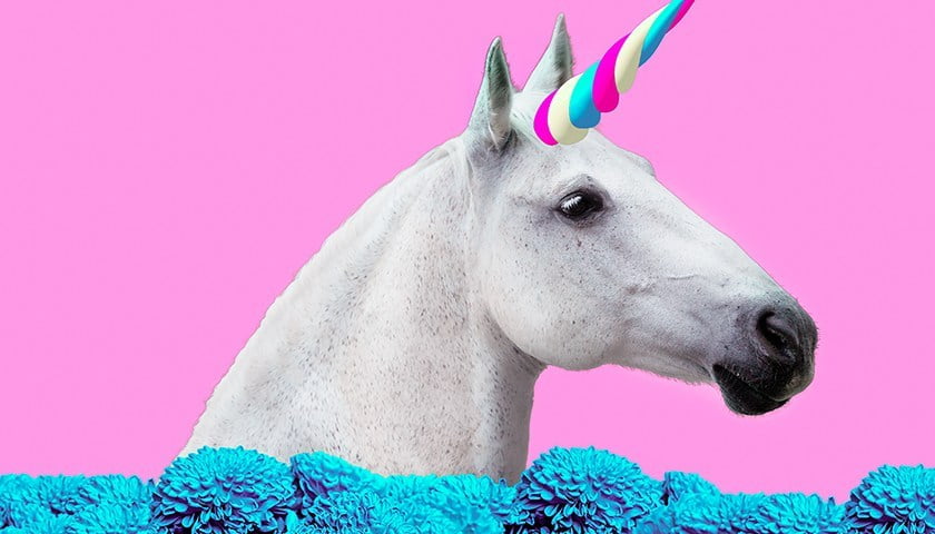 Tips Membangun Startup Hingga Level Unicorn
