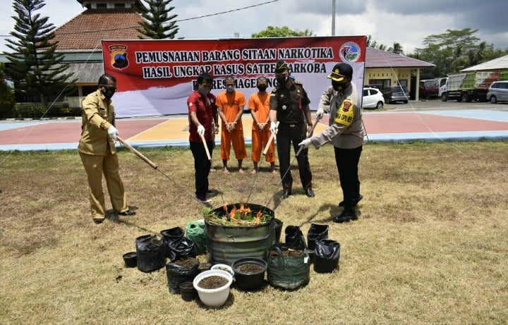 Polres Magelang Musnahkan Barang Bukti Narkotika