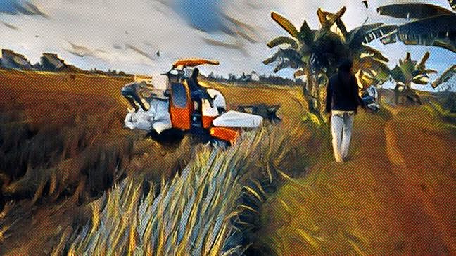 Combine dan Punahnya Rezeki Buruh Tani