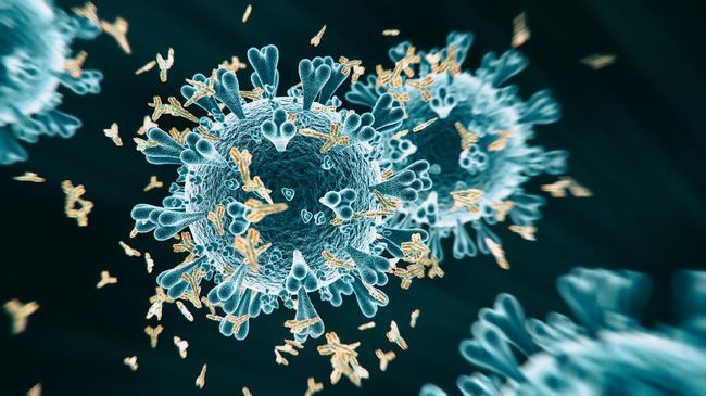 Harap Waspada! Virus Corona Varian Baru Telah Muncul