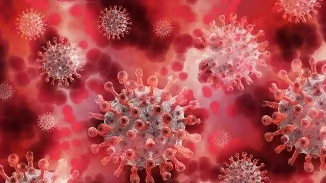 Ahli Menyebut Virus Corona Varian Delta Plus Dapat Menghindari Vaksin dan Antibodi