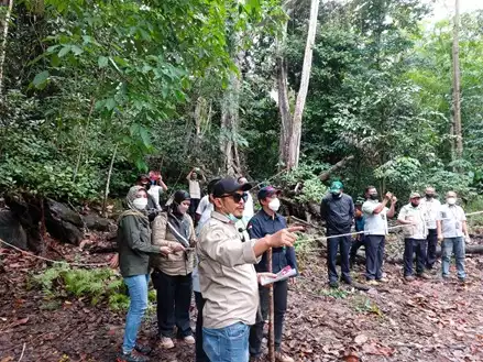 Merdekakan Satwa di Hari Kemerdekaan, BKSDA Sumsel Lepasliarkan 3 Ekor Elang