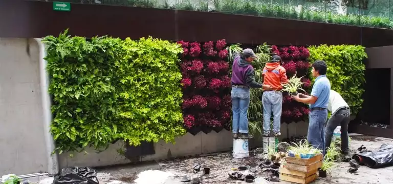 Taman Bertingkat, Tips Membuat Ruang Hijau di Rumah Minimalis