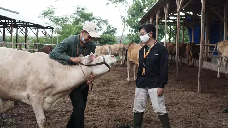 Ternaknesia, Modal Awal dari Orang Sekitar hingga Cita-cita Mewujudkan Kedaulatan Pangan Ternaknesia