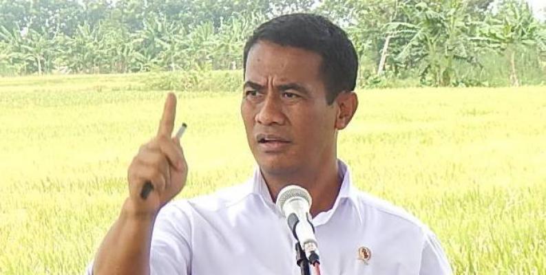 BULOG Harus Menjadi Stabilisator Harga Komoditas Pangan