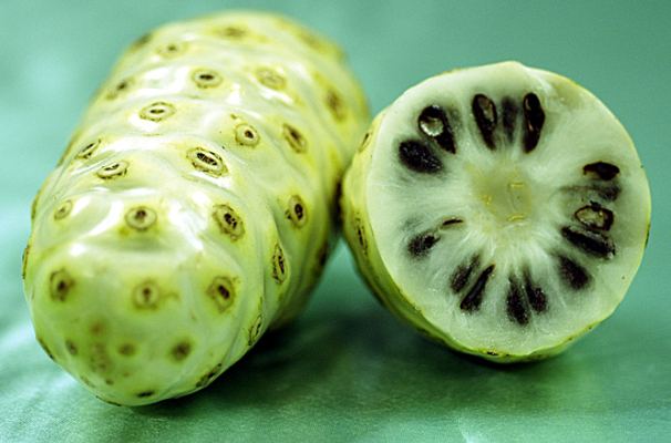 Simak Khasiat Buah Pace atau Mengkudu