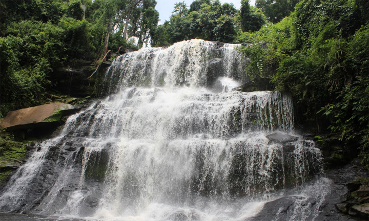 Pohon Tumbang Tewaskan 20 Orang di Air Terjun Ghana