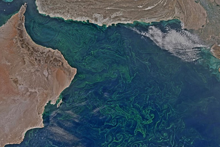 Corak Berwarna Hijau Terlihat di Laut Arab
