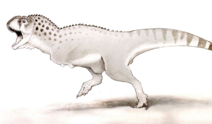 Fosil Kerabat Tyrannosaurus Rex Ditemukan di Afrika Utara