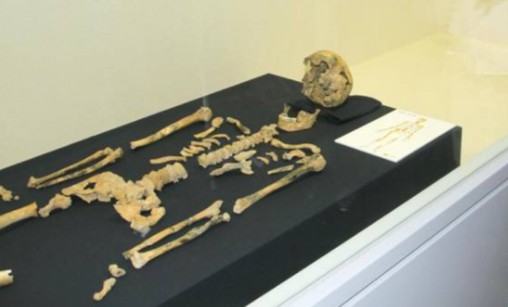 Inilah Kerangka Manusia Tertua di Jepang