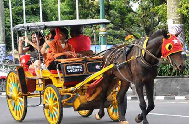 Andong dan Delman Dikira Sama, Anda Wajib Tahu Perbedaannya Andong dan Delman