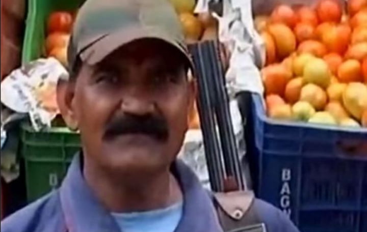 Di India, Petugas Bersenjata Dikerahkan untuk Menjaga Tomat