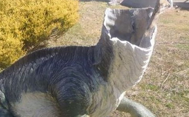 Patung-Patung Dinosaurus di Australia Kehilangan Kepalanya