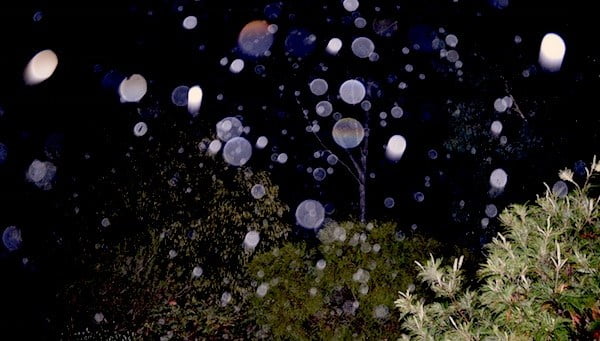 Mengenal Orbs, Si Mahluk Astral yang Hobi Eksis di Kamera Orbs