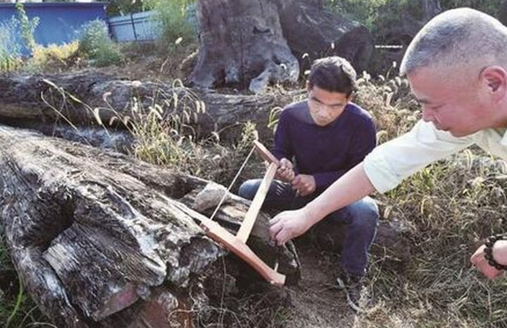 Pria Ini Tanpa Sadar Menyimpan Kayu Bernilai Milyaran Rupiah Selama 5 Tahun