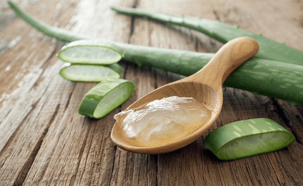 Si Lidah Buaya Membuat Kita Menghemat Pengeluaran ke Salon, Yuk Intip Caranya!