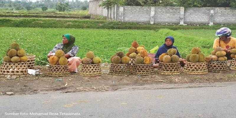 Mengenal Penjual Buah Pinggir Jalan dan Keanehannya, Beli Yuk!