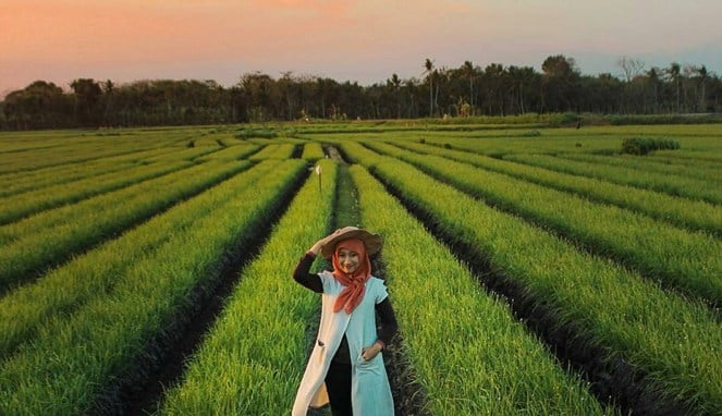 Jangan Ngaku Kekinian, Kalau Belum Pernah Foto di Spot OOTD Ini!