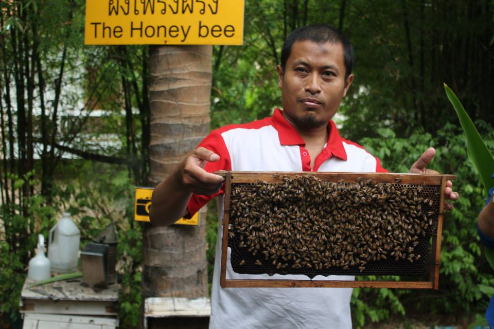 Wah, Belajar Berorganisasi Ternyata Bisa Dari Fenomena Alam Nyata!