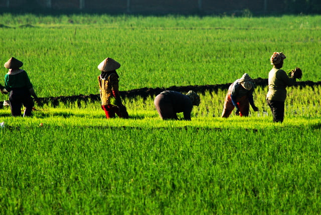Duh, Petani Indonesia Makin Diuji Kesabarannya