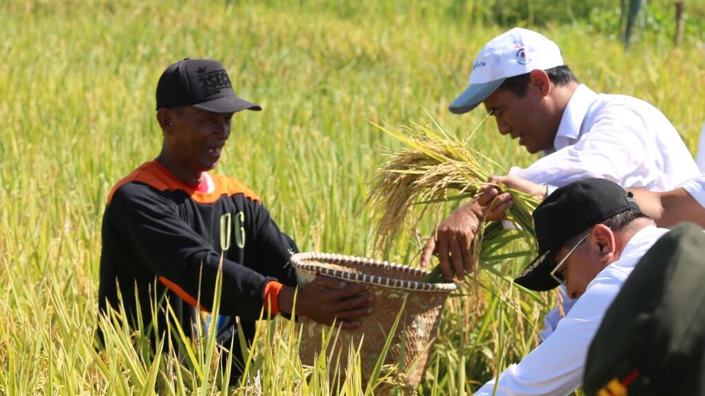 Kementan Jalin Kerjasama Tingkatkan SDM Pertanian