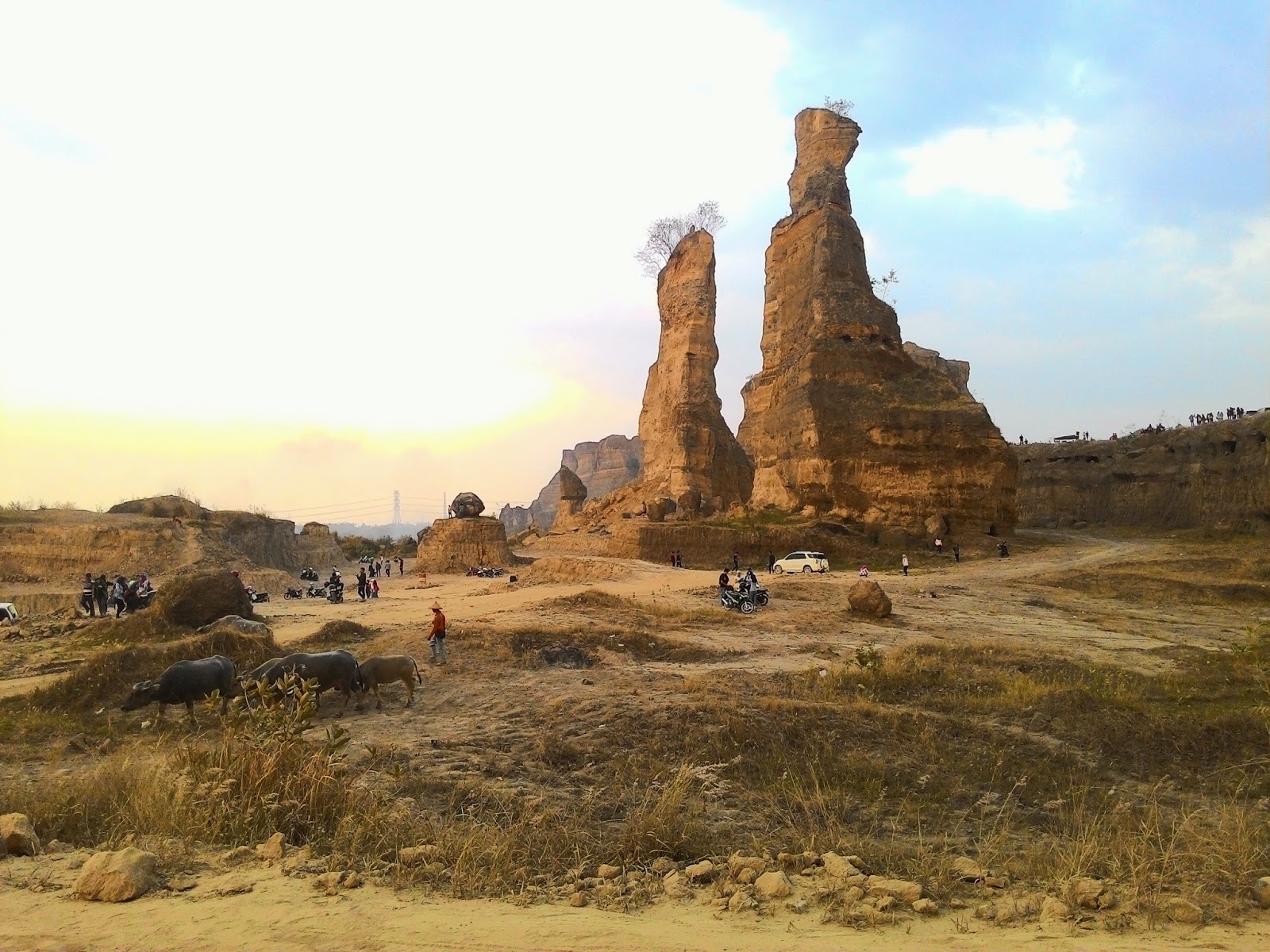 Brown Canyon Kudus