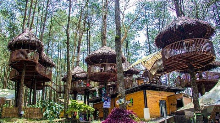 Kopeng Treetop Adventure Park
