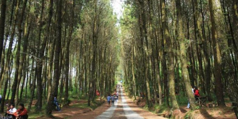 Wisata Lereng Merbabu Wisata Lereng Merbabu