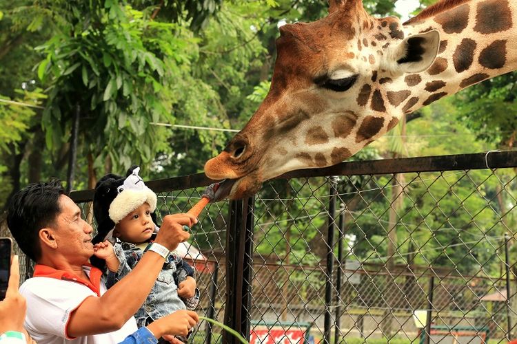 bandung zoo