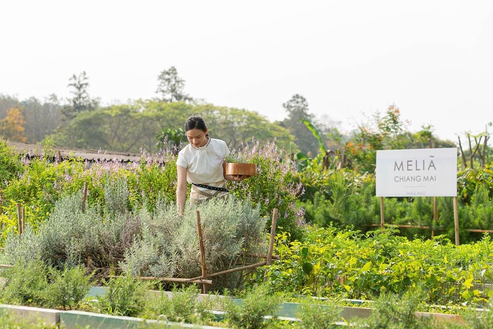 Melia Hotels International Menandai Diri Sebagai Pemimpin Sustainability