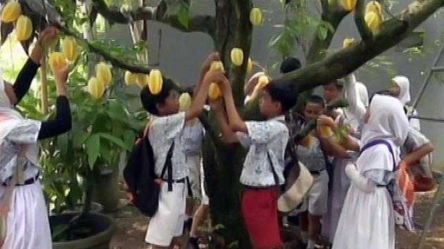 Agrowisata Belimbing Dewa Depok
