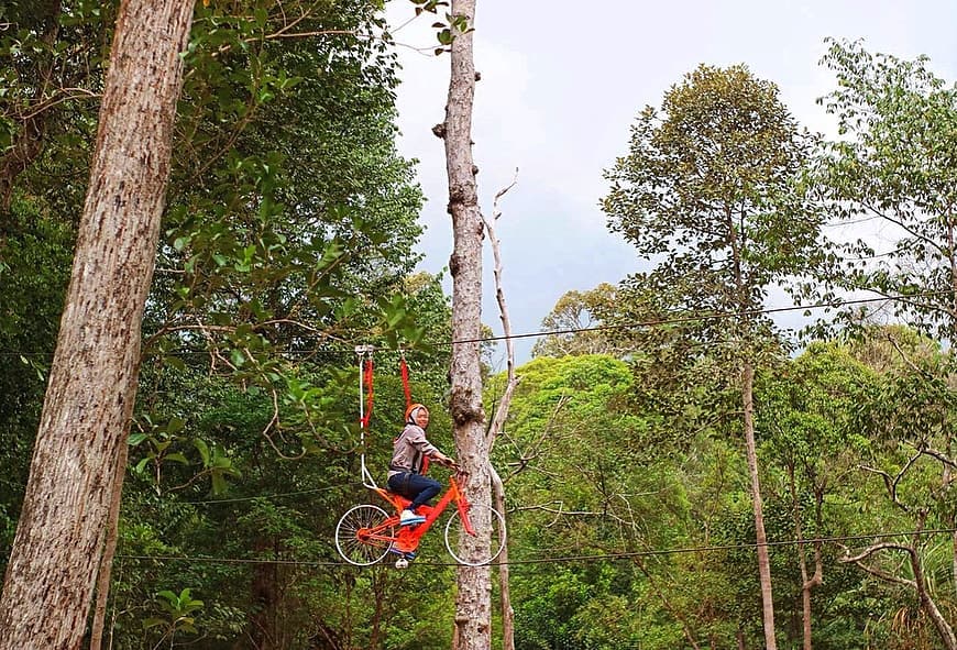 Batam Forest Top