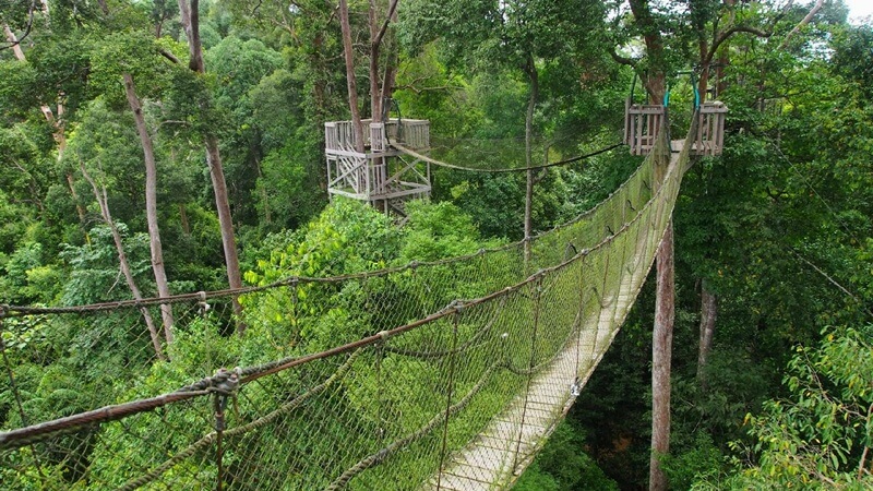 Bukit Bangkirai Bukit Bangkirai