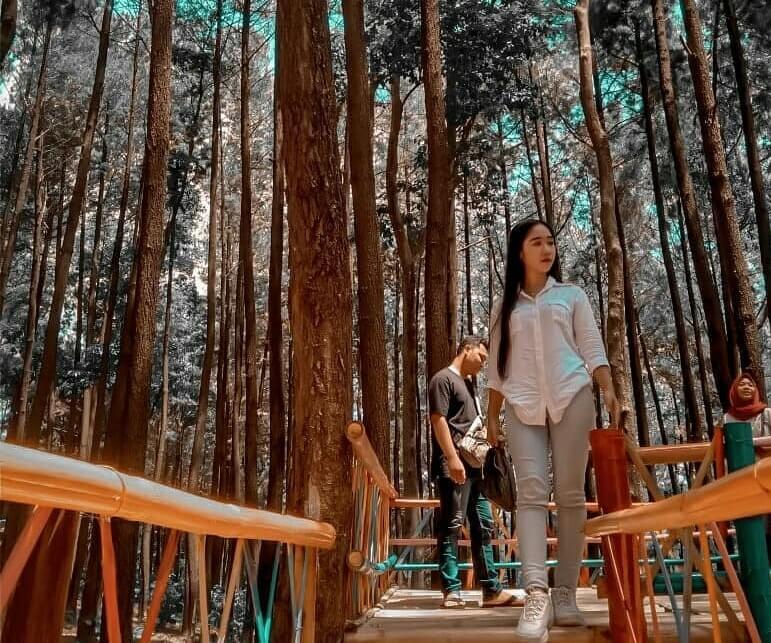 Hutan Wisata Sreni