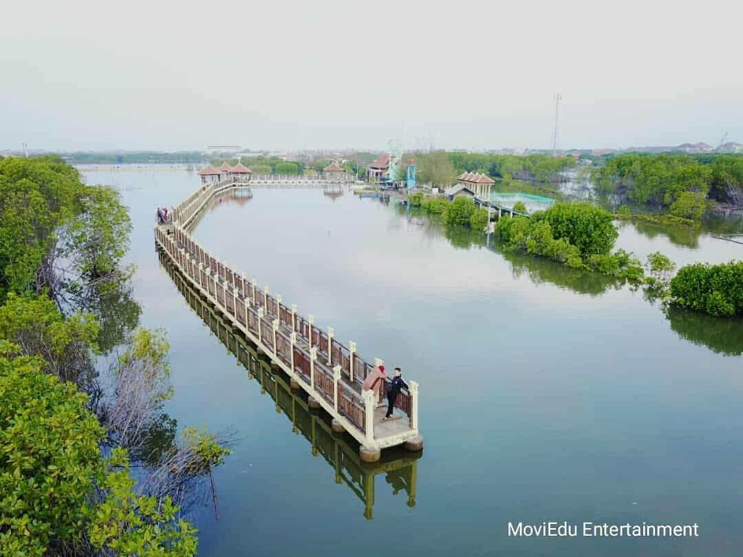 Mangrove Park Pekalongan Mangrove Park Pekalongan