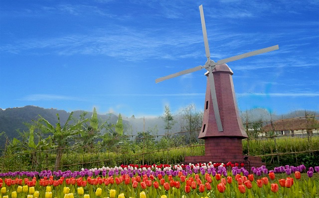New Small World Purwokerto New Small World Purwokerto