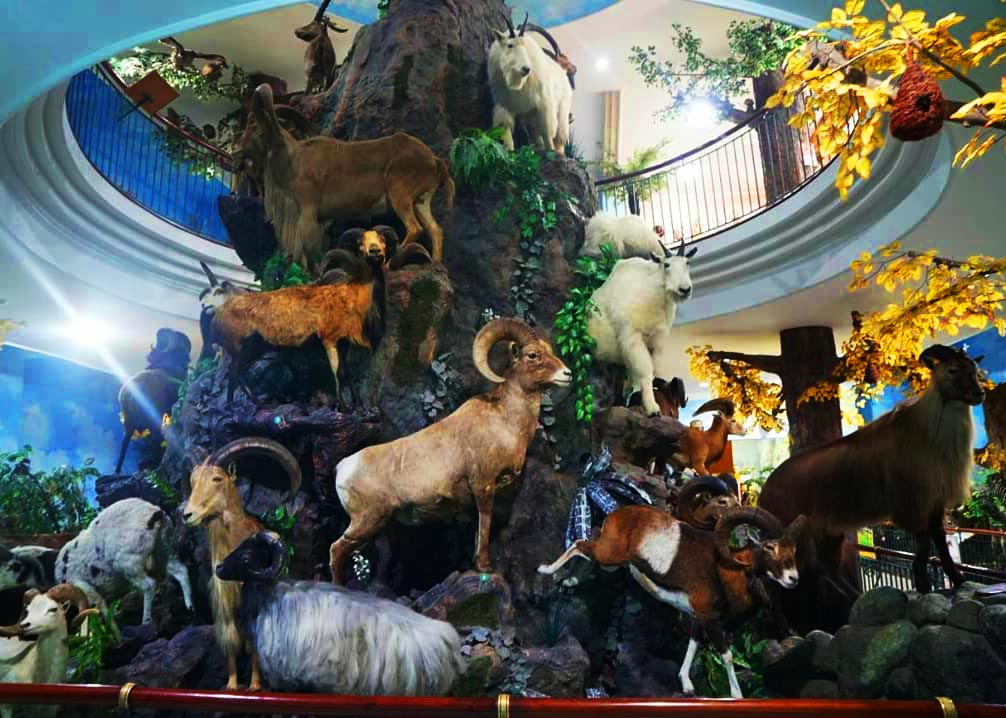 Rahmat International Wildlife Museum and Gallery
