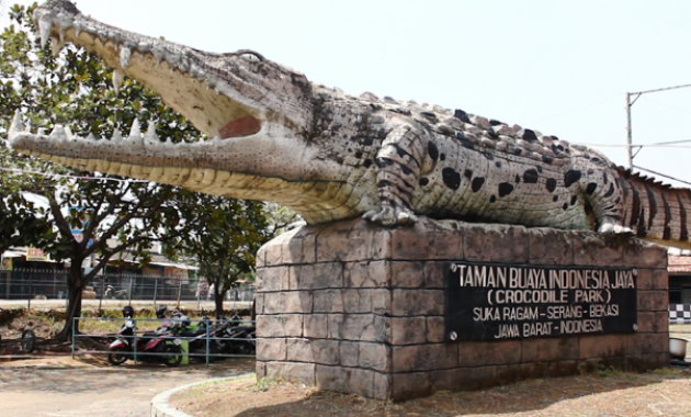 Taman Buaya Indonesia Jaya
