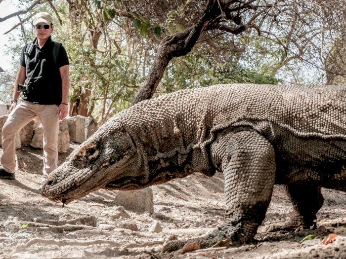 Taman Nasional (TN) Komodo