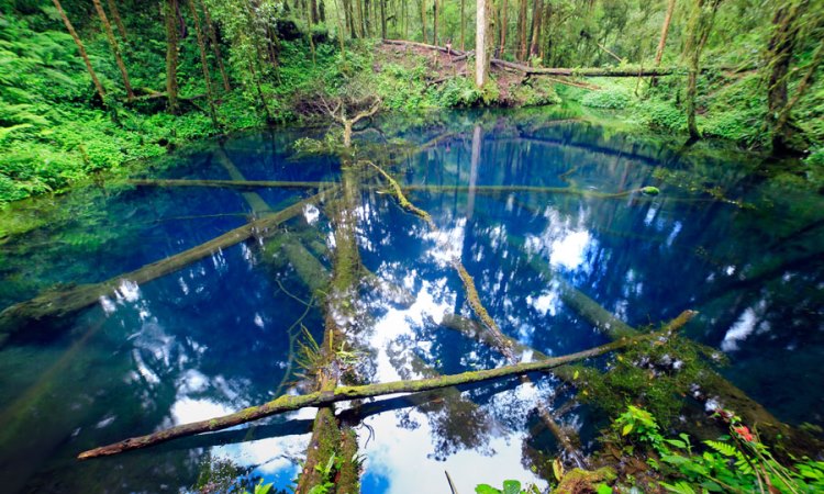 Telaga Biru Jambi