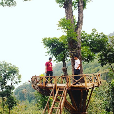 Wisata Alam Pesanggrahan
