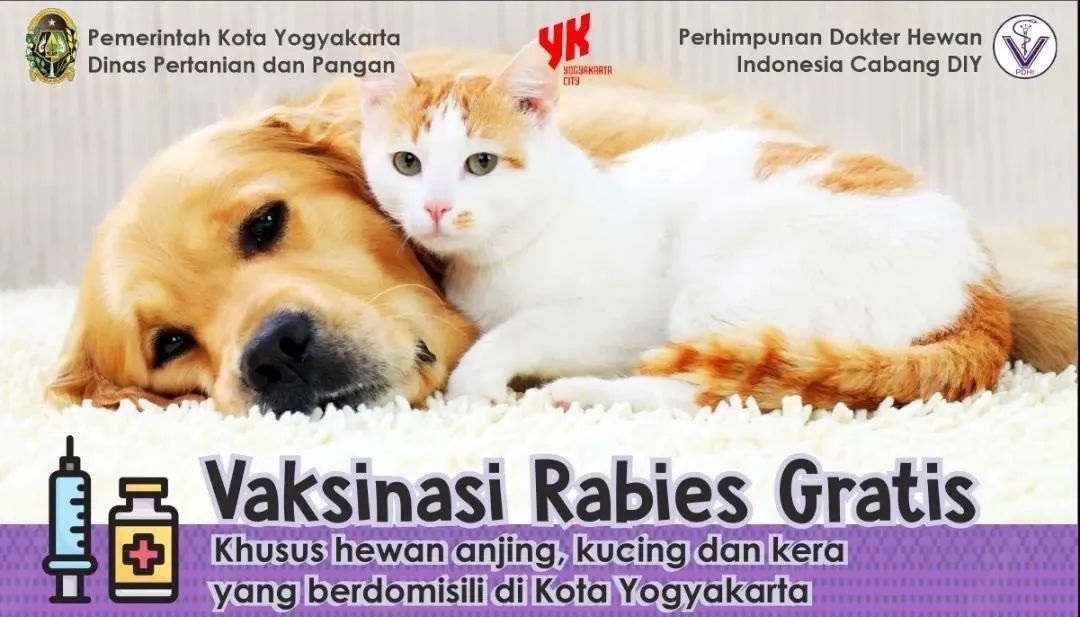 Vaksinasi Rabies Gratis Digelar Pemkot Jogja Awal September 2022 Ilustrasi (foto: ist)