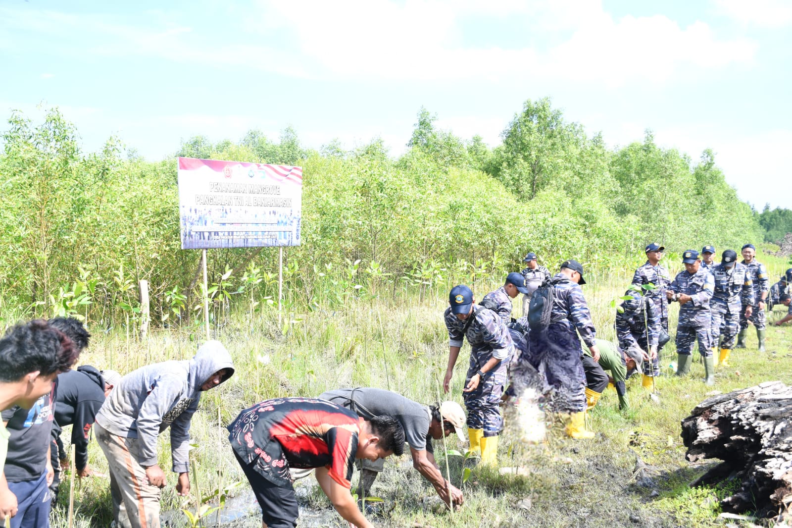TNI Angkatan Laut Adakan Penanaman Mangrove Bersama Masyarakat Pesisir Laut