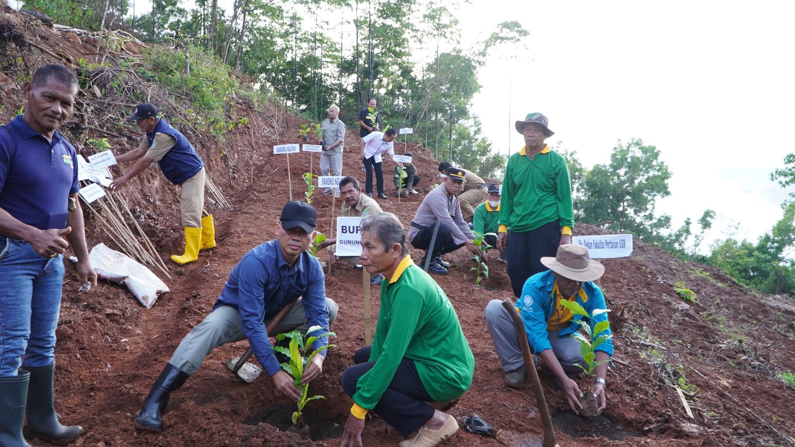 Kebun Kopi Akan Dikembangkan di Bulak Simpangan, Nglipar, Gunungkidul