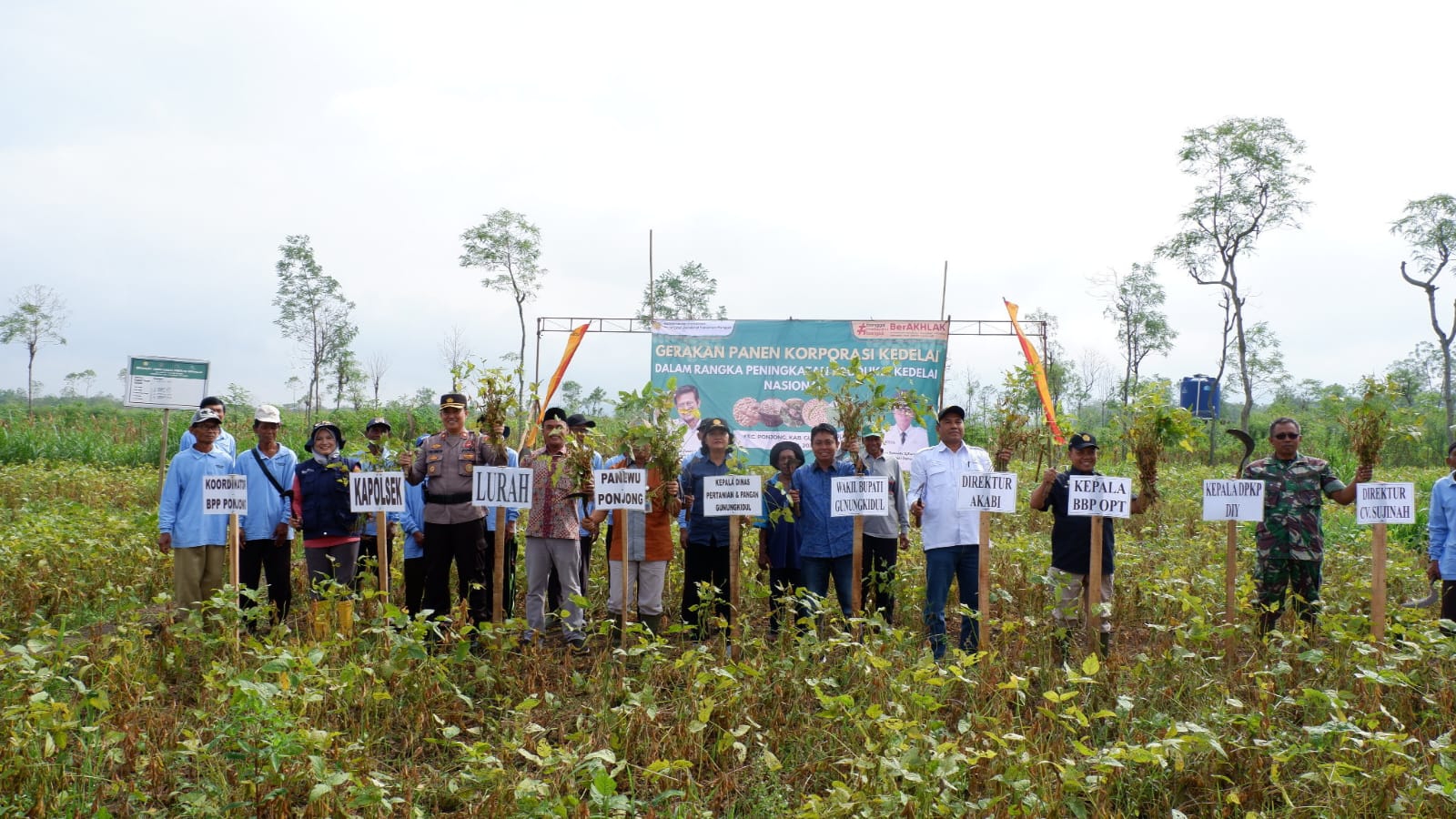 Wakil Bupati Gunungkidul Panen Kedelai untuk Peningkatan Produksi Nasional