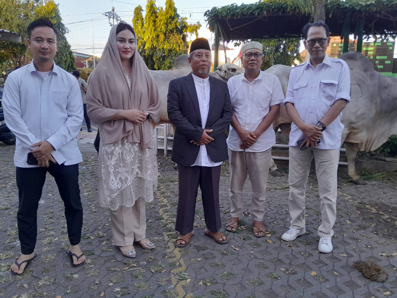 Prabowo Subianto Berikan Bantuan 11 Sapi Kurban di DIY