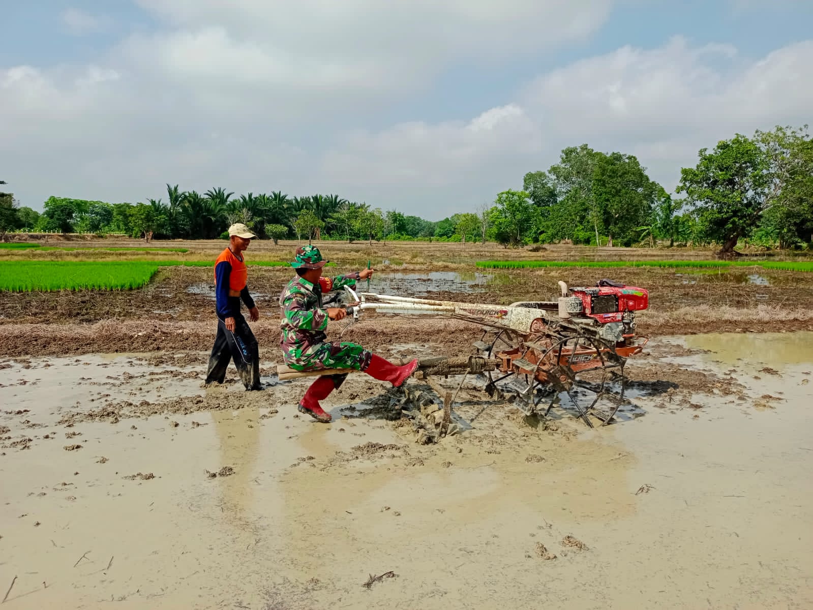 Babinsa Kodim 1002/HST Dampingi Petani dalam Kegiatan Persiapan Lahan Pertanian