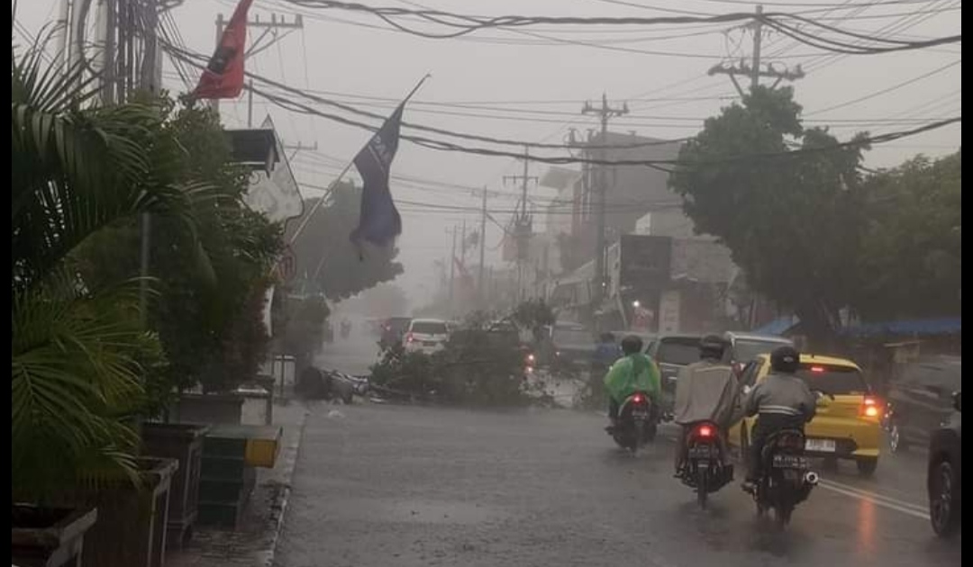 Hujan Seharian Berimbas Sejumlah Kejadian di DIY Ilustrasi pohon tumbang karena angin di kawasan Wirobrajan Jogja - (foto: ist)